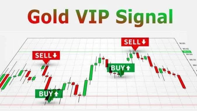 𝐗𝐀𝐔𝐔𝐒𝐃 𝐅𝐎𝐑𝐄𝐗 𝐒𝐈𝐆𝐍𝐀𝐋𝐒
