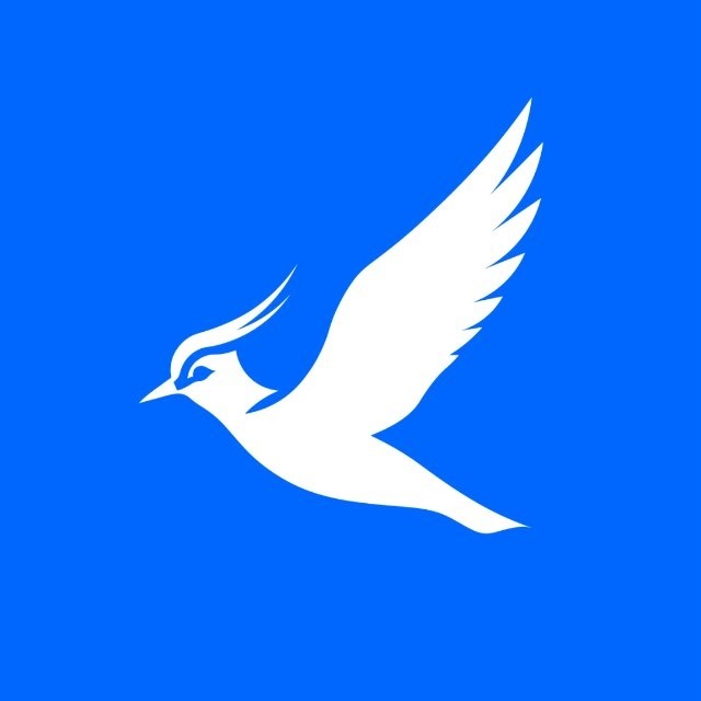 @chibis_vpn_bot