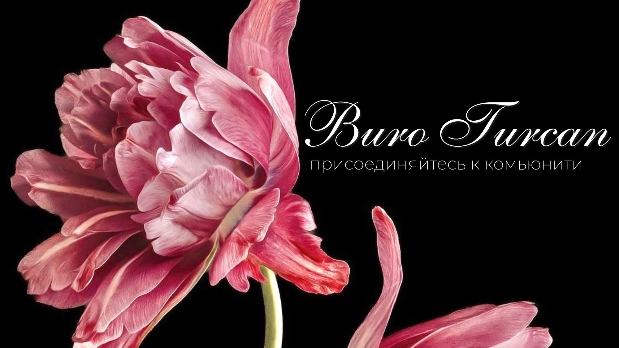 Buro Turcan | Цветочное бюро Туркан | Цветы СПб и МСК