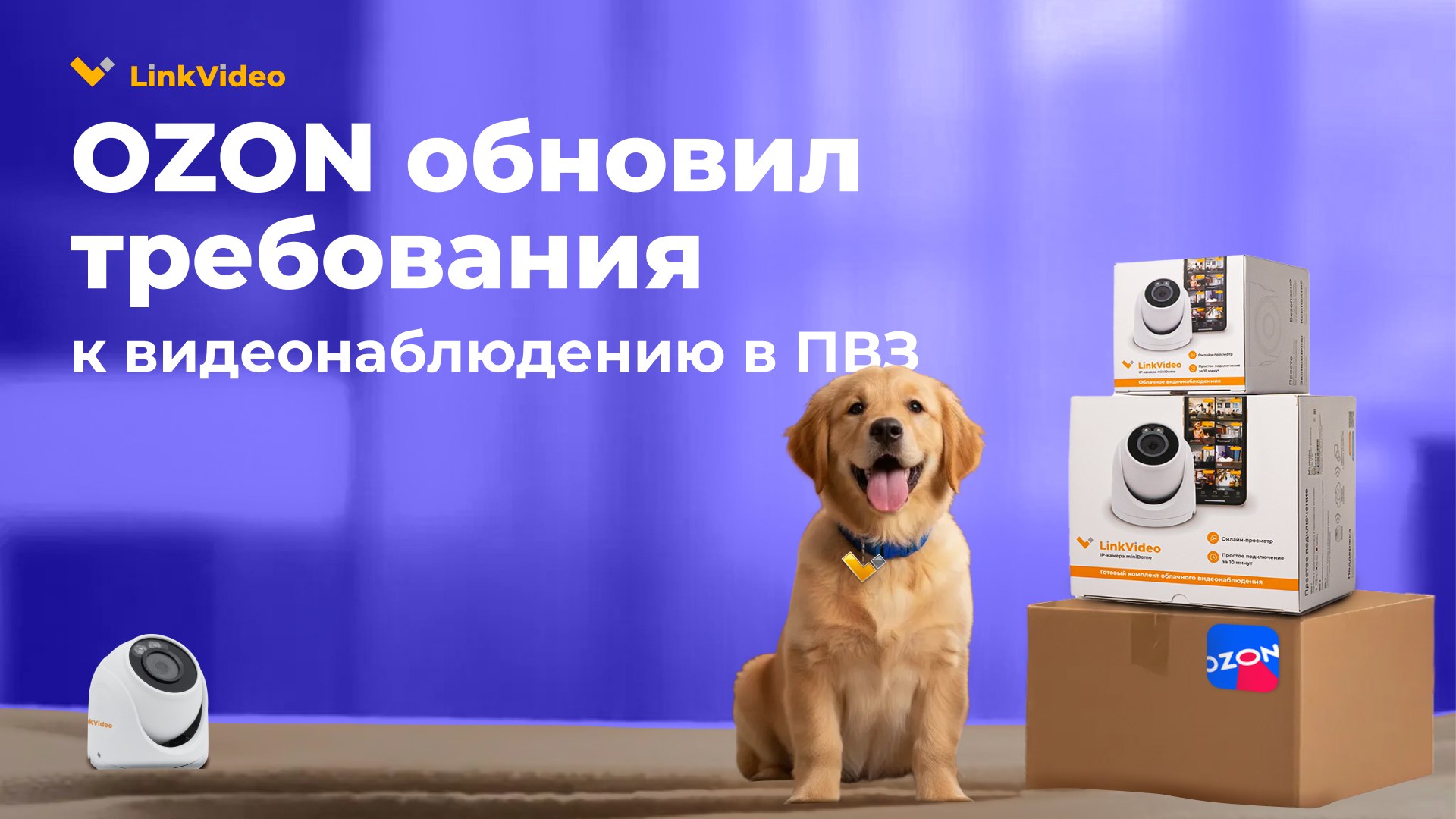 LinkVideo | Облачное видеонаблюдение