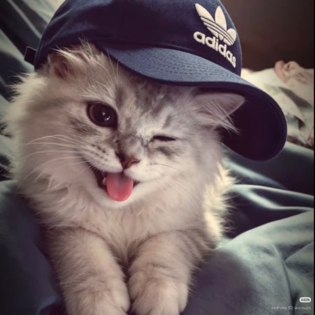 @http_lbrahim36
