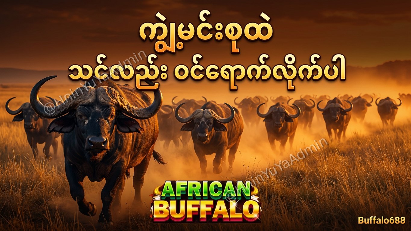 ကျွဲဂိမ်းအစစ် Buffalo688 ၊ကျွဲဘုရင် ၊ရှမ်းကိုးမီး၊ဘူကြီး