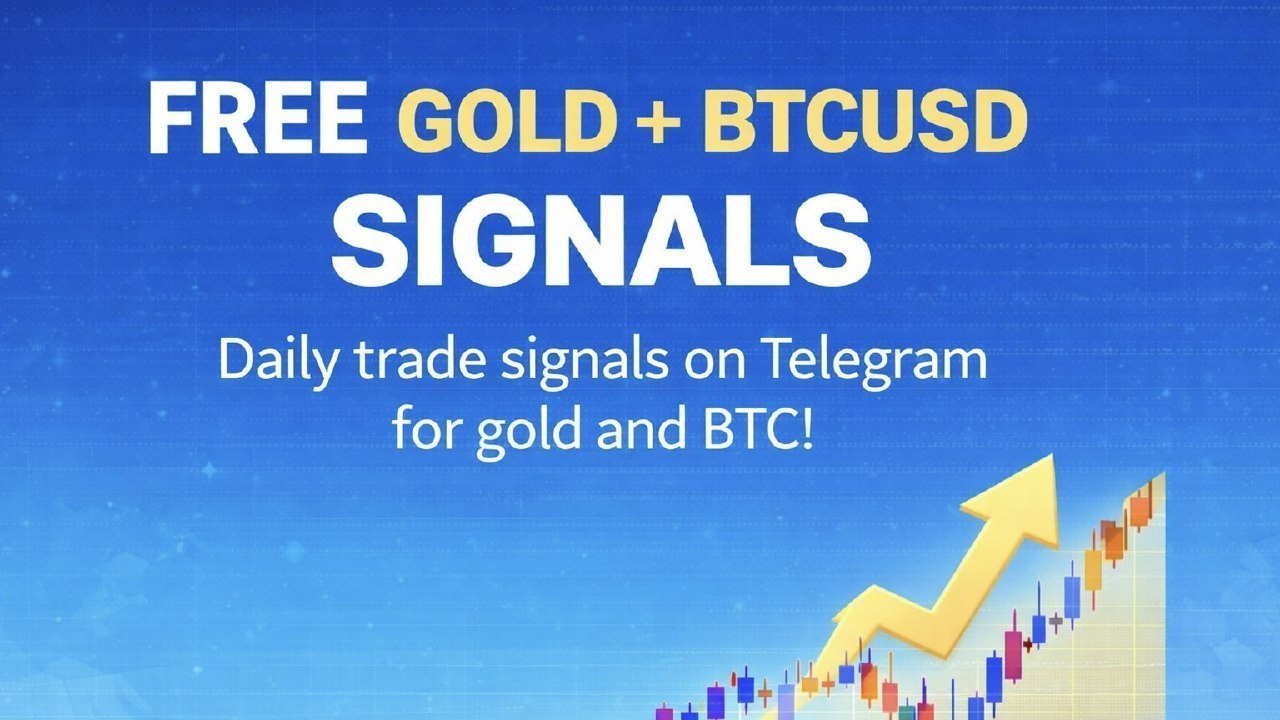 Dubai Trader