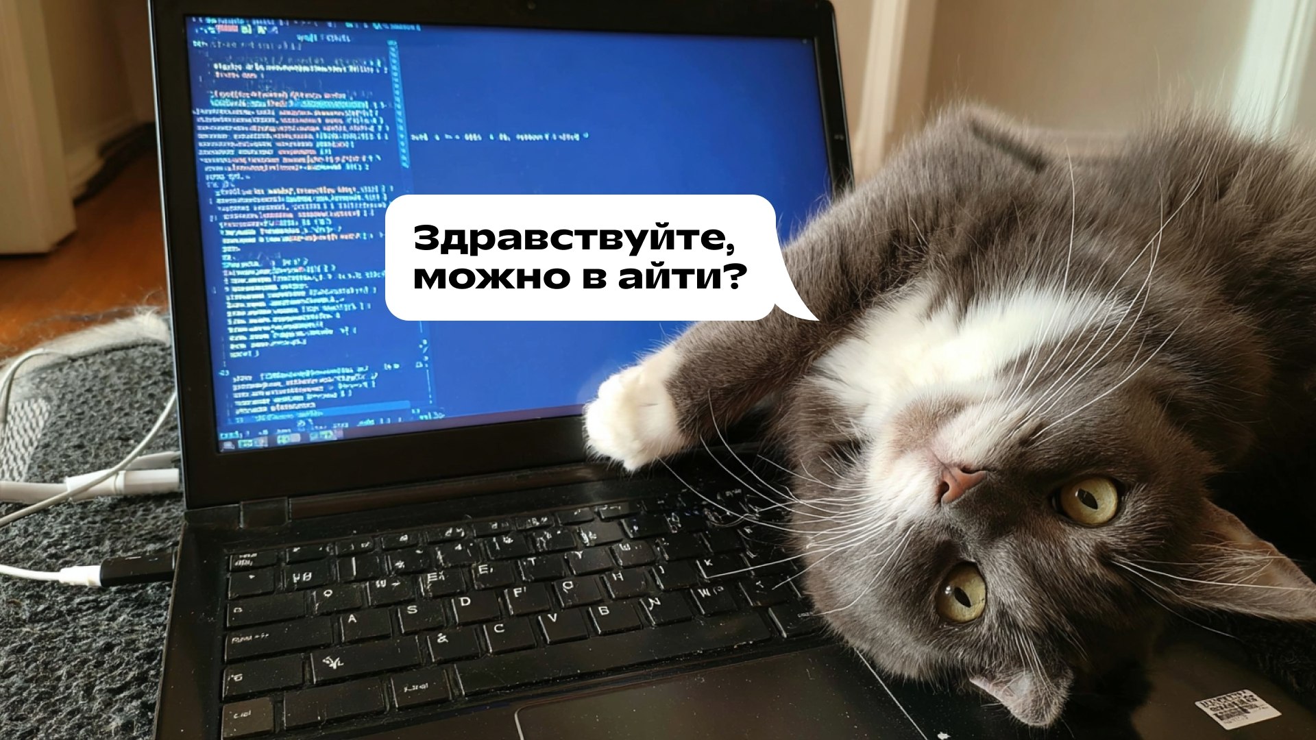 ИТ-колледж | Фоксфорд