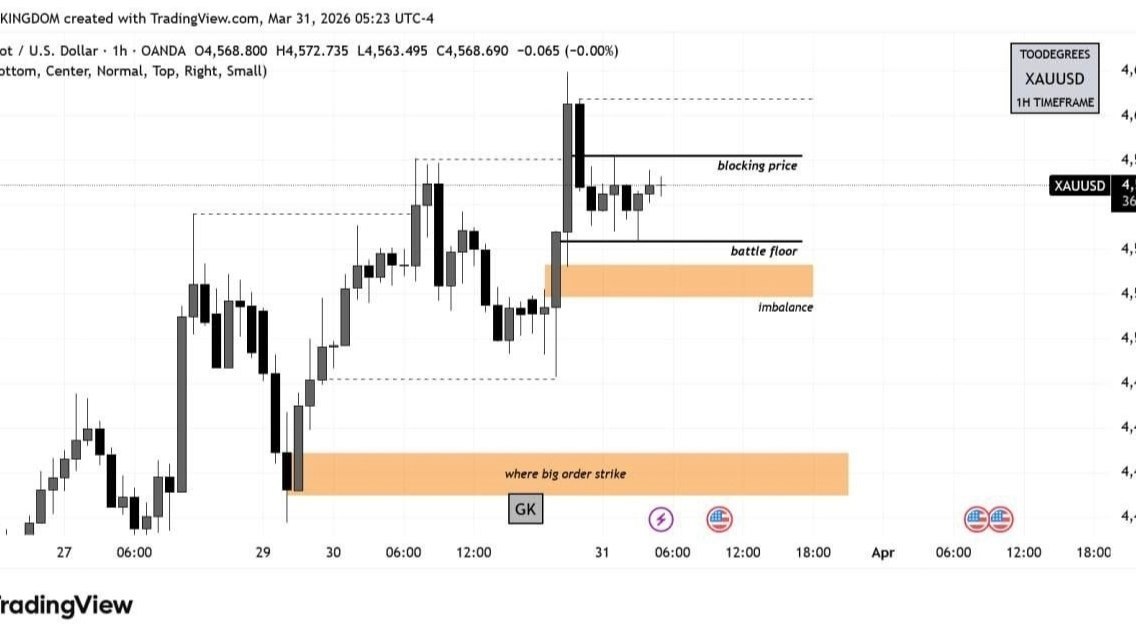 168FX Market Insights