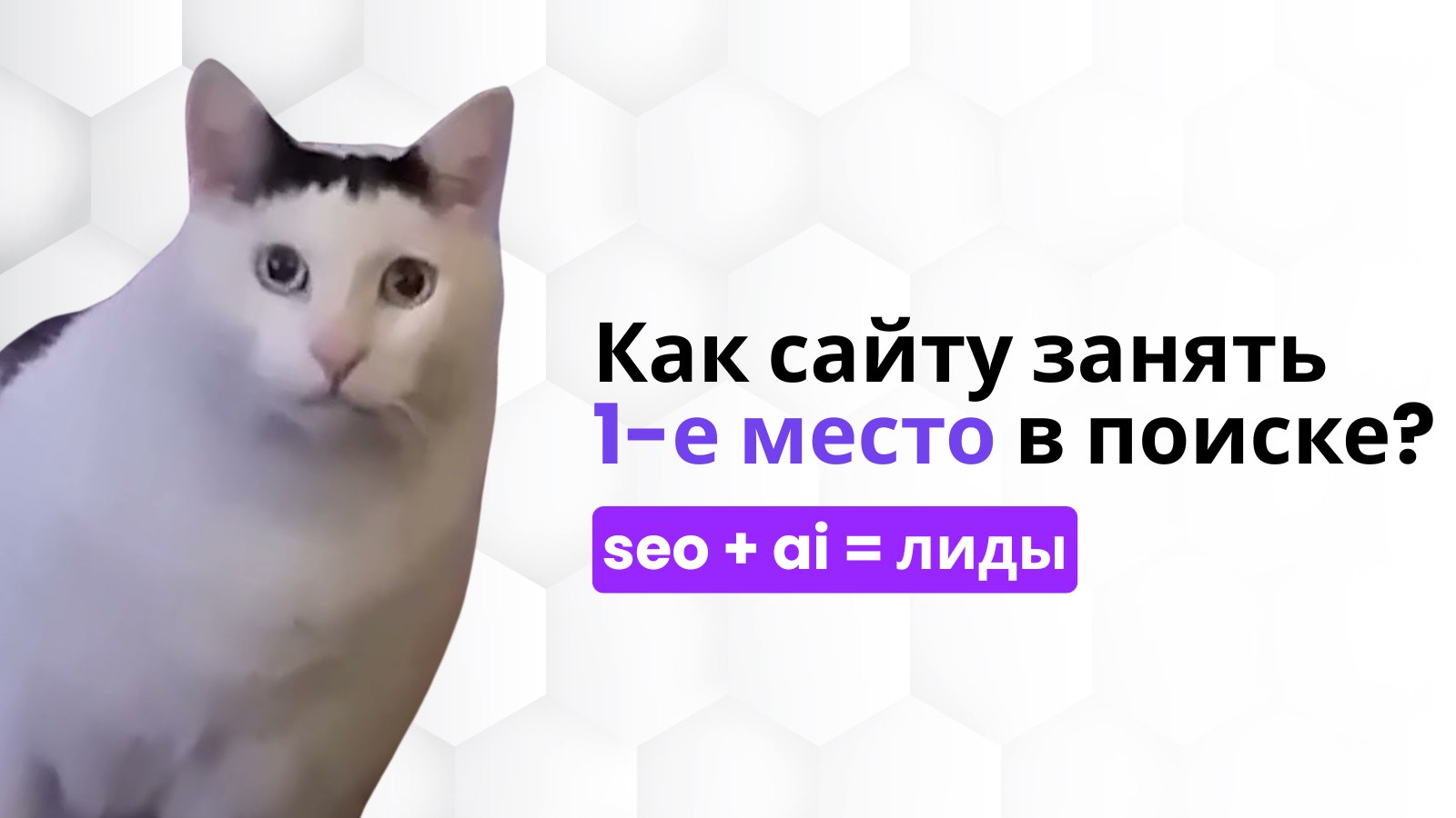 Rabbit SEO | ИИ продвижение сайтов