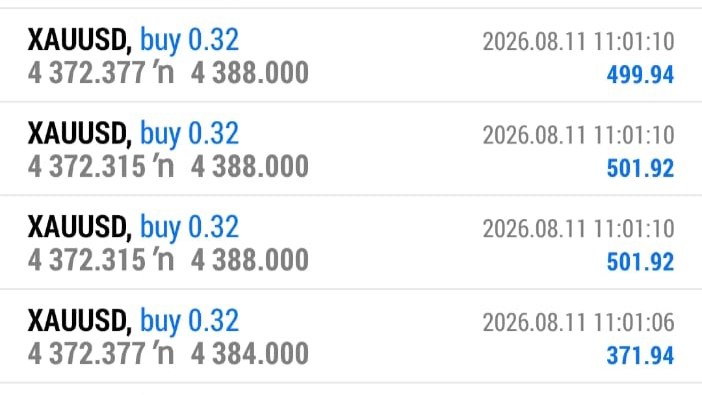 Forex King