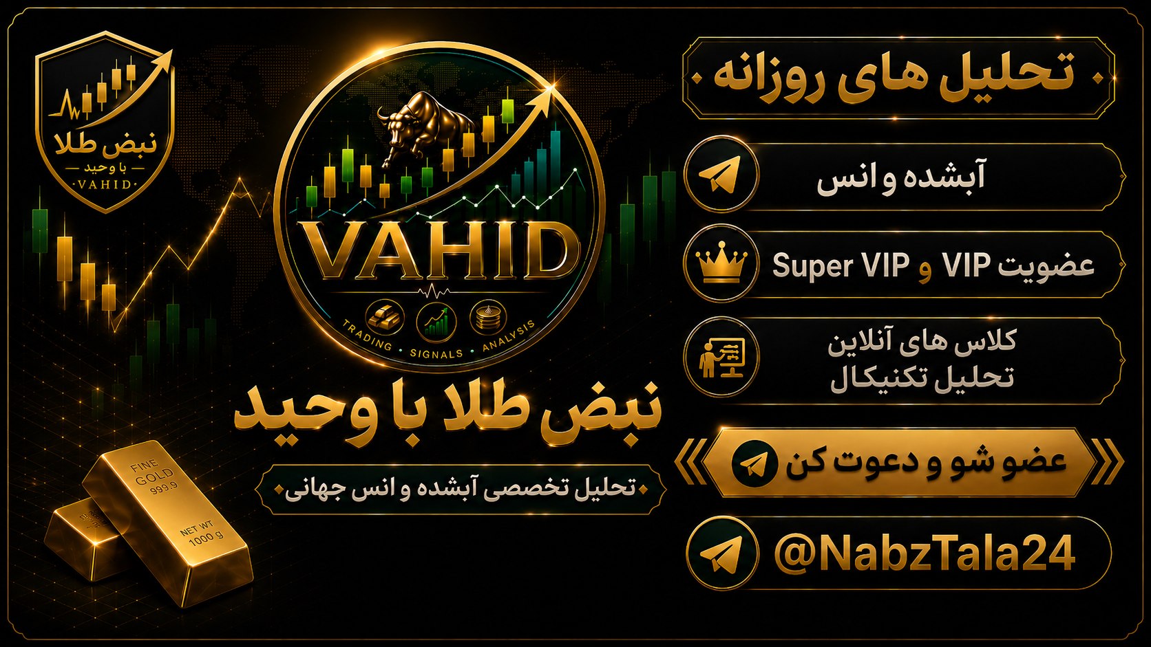 نبض طلا با وحید