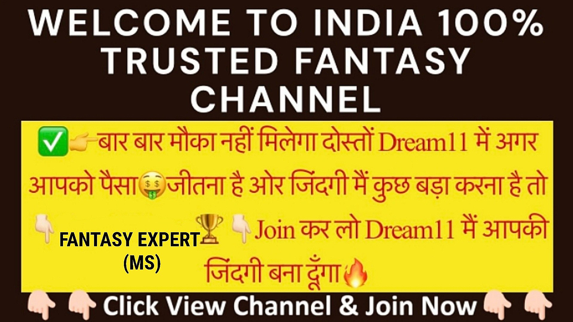 FANTASY CRICKET EXPERT (MS)