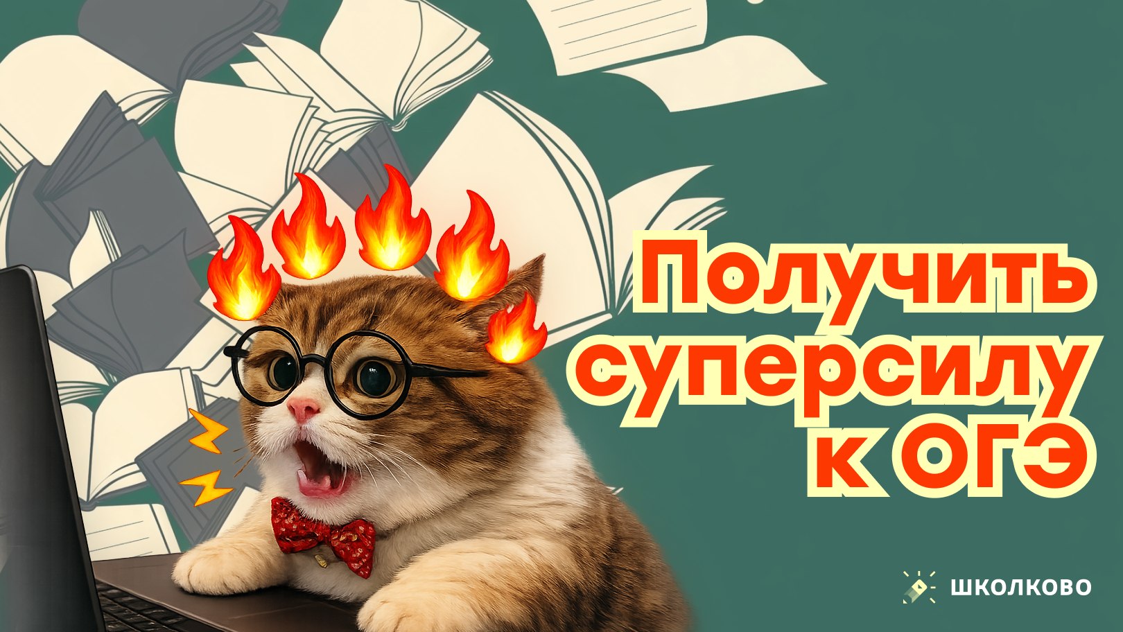 ОГЭ информатика с Мане