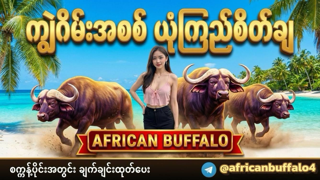 American Buffalo 4